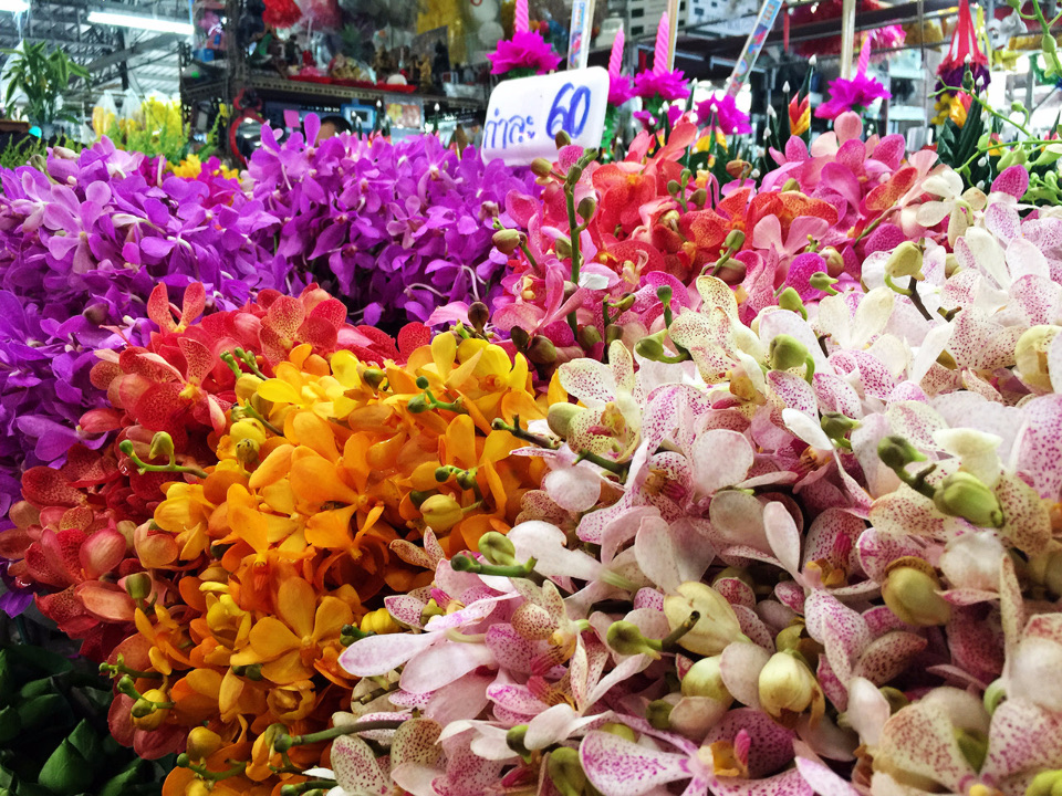 กล้วยไม้หลากสีวางเรียงในตลาดดอกไม้